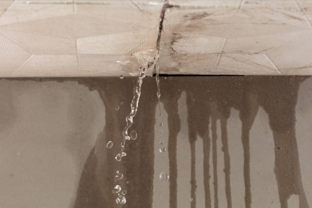 Professional Burst Pipe Cleanup technician working in Custer, WA